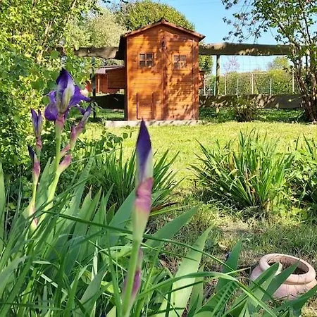Casa vacanze Maison De Contes En Amoureux